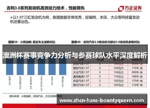 澳洲杯赛事竞争力分析与参赛球队水平深度解析