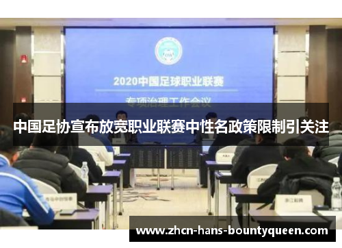 中国足协宣布放宽职业联赛中性名政策限制引关注